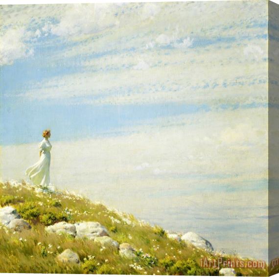 Charles Courtney Curran A Breezy Day Stretched Canvas Print / Canvas Art