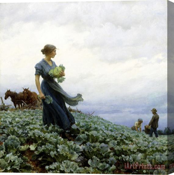 Charles Courtney Curran The Cabbage Field Stretched Canvas Painting / Canvas Art