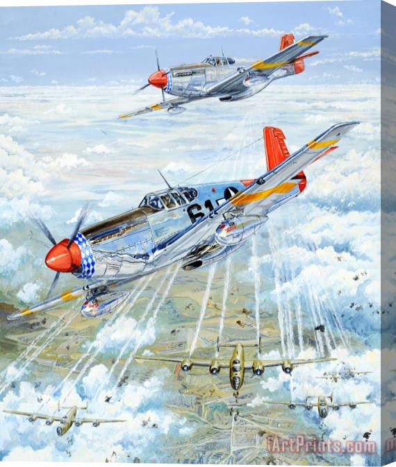 Charles Taylor Red Tail 61 Stretched Canvas Painting / Canvas Art