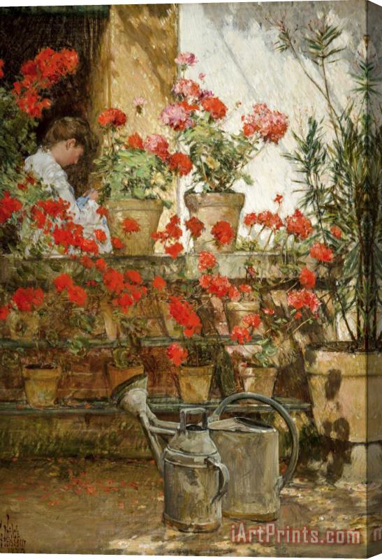 Childe Hassam Geraniums Stretched Canvas Painting / Canvas Art