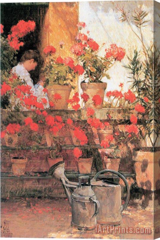 Childe Hassam Red Geraniums Stretched Canvas Print / Canvas Art