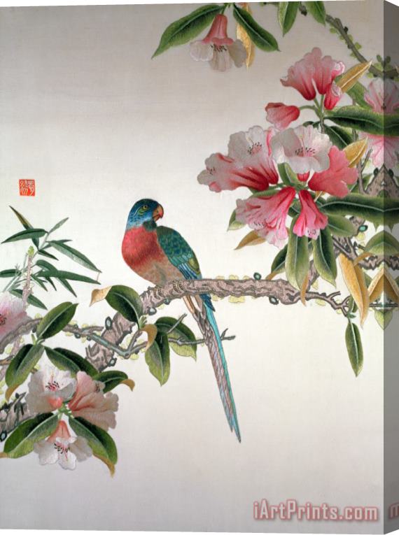 Chinese School Jay on a flowering branch Stretched Canvas Painting / Canvas Art