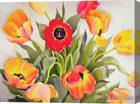 Christopher Ryland Orange And Red Tulips Stretched Canvas Print / Canvas Art