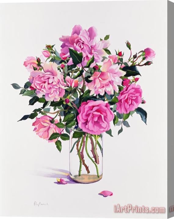 Christopher Ryland Roses In A Glass Jar Stretched Canvas Print / Canvas Art
