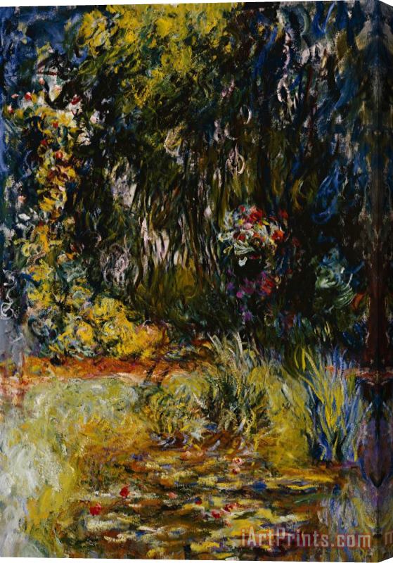 Claude Monet Corner of a Pond with Waterlilies Stretched Canvas Painting / Canvas Art