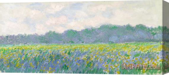 Claude Monet Field of Yellow Irises at Giverny Stretched Canvas Print / Canvas Art