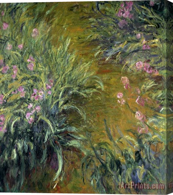 Claude Monet Iris Stretched Canvas Painting / Canvas Art