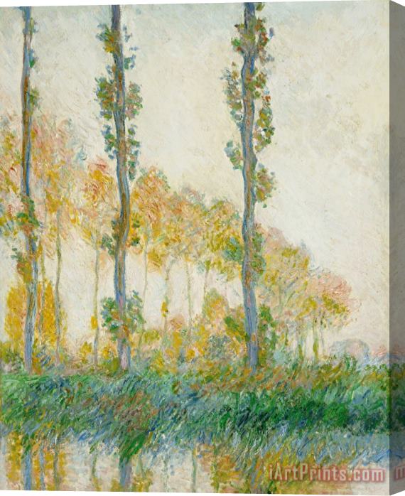 Claude Monet The Three Trees Stretched Canvas Print / Canvas Art