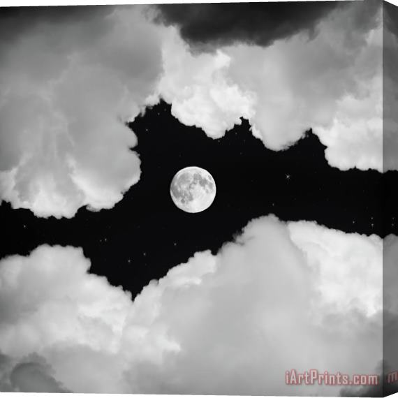 Collection 11 Moonlight Stretched Canvas Print / Canvas Art