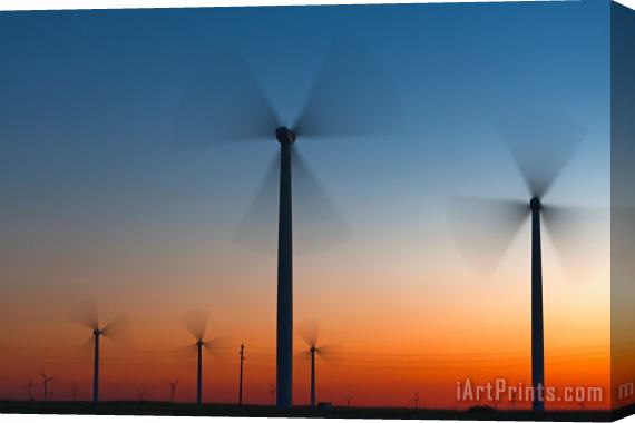 Collection 12 Fans in Twilight Stretched Canvas Print / Canvas Art