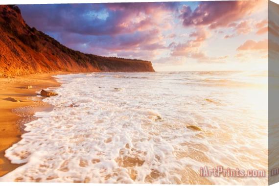 Collection 12 Golden Bay Stretched Canvas Print / Canvas Art
