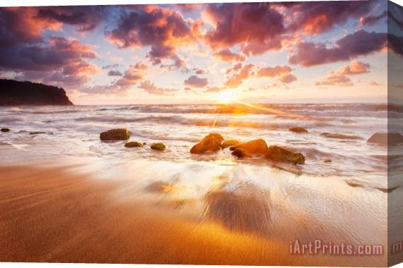 Collection 12 Golden Beach Stretched Canvas Print / Canvas Art
