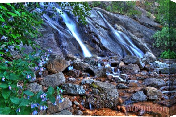 Collection 14 Falls and Wildflowers Stretched Canvas Print / Canvas Art