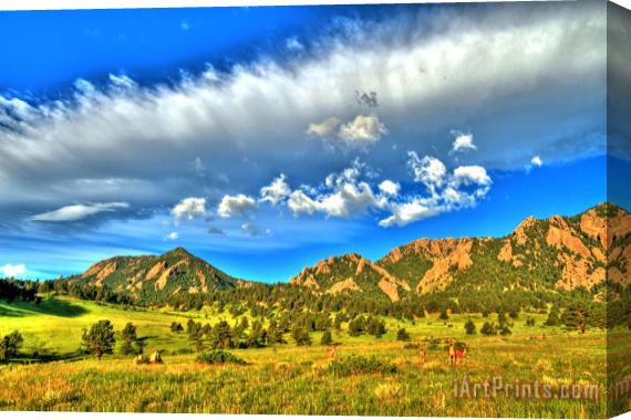 Collection 14 Flatirons Wildlife Wonder Stretched Canvas Painting / Canvas Art