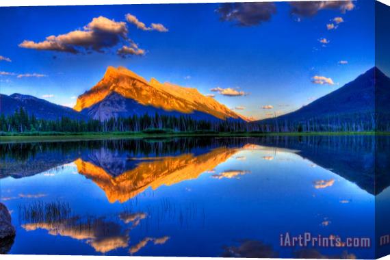 Collection 14 Life's Reflections Stretched Canvas Print / Canvas Art