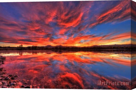 Collection 14 Ponds of Fiery Stretched Canvas Print / Canvas Art