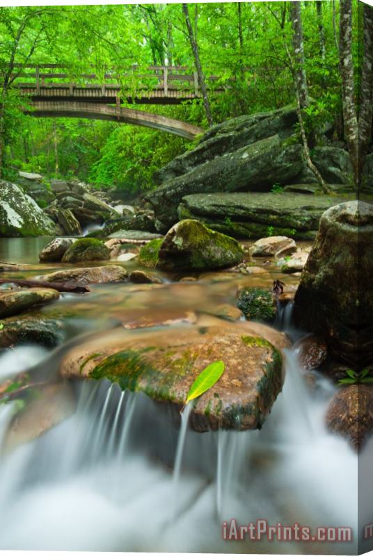 Collection 3 Blue Ridge Mountain Stream Stretched Canvas Print / Canvas Art