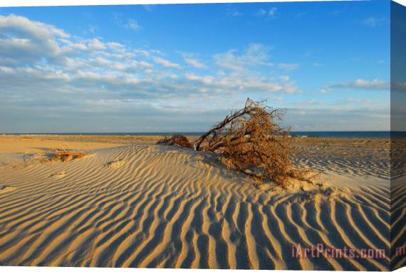 Collection 3 Hatteras Sands of Time Stretched Canvas Painting / Canvas Art