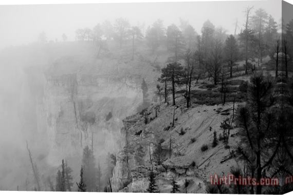 Collection 6 Bryce Canyon Fog Stretched Canvas Painting / Canvas Art