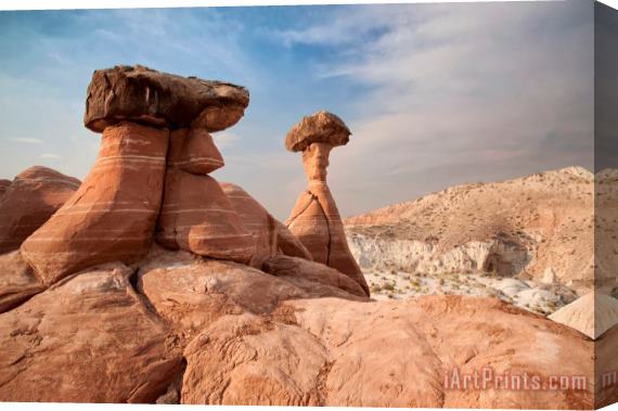 Collection 6 Desert Toadstool Hoodoos Stretched Canvas Print / Canvas Art