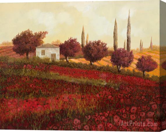 Collection 7 Papaveri In Toscana Stretched Canvas Painting / Canvas Art