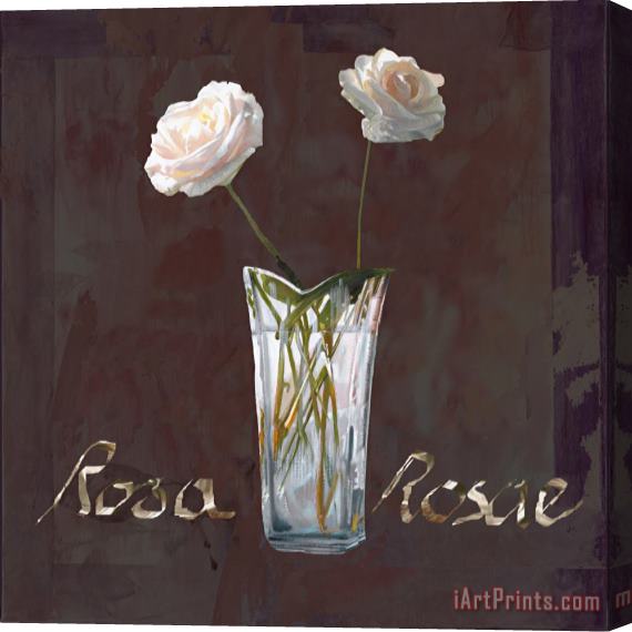 Collection 7 Rosa Rosae Stretched Canvas Painting / Canvas Art