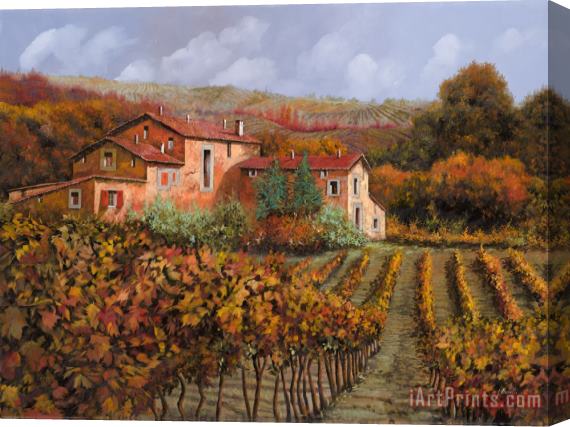 Collection 7 tra le vigne a Montalcino Stretched Canvas Print / Canvas Art