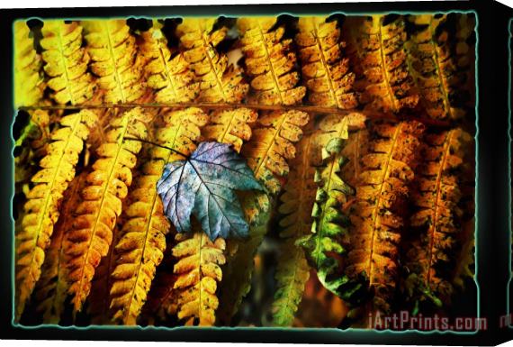 Collection 8 Autumn Fern Stretched Canvas Painting / Canvas Art