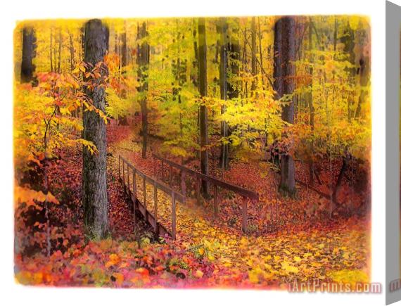 Collection 8 Autumn footbridge Stretched Canvas Painting / Canvas Art