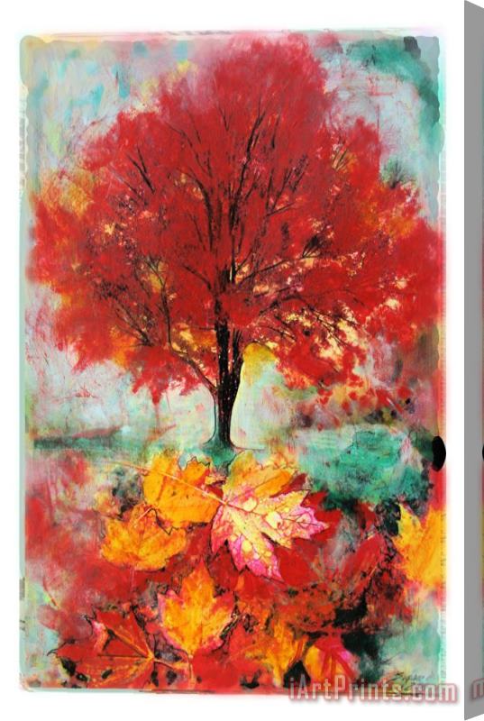 Collection 8 Autumn glow Stretched Canvas Painting / Canvas Art