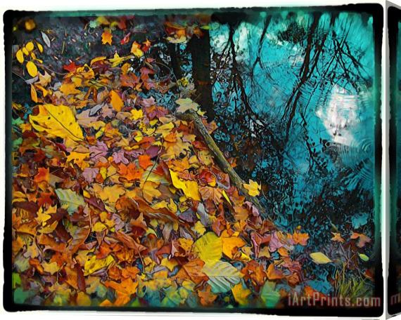 Collection 8 Autumn reflection Stretched Canvas Painting / Canvas Art