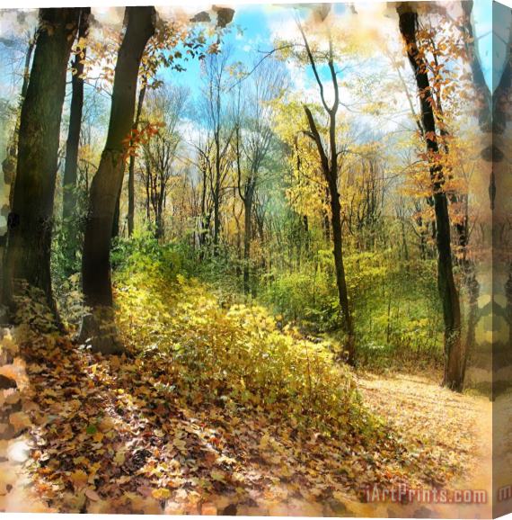 Collection 8 Autumn trail Stretched Canvas Print / Canvas Art