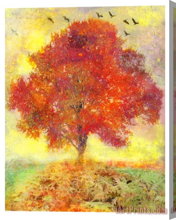 Collection 8 Autumn tree Stretched Canvas Print / Canvas Art