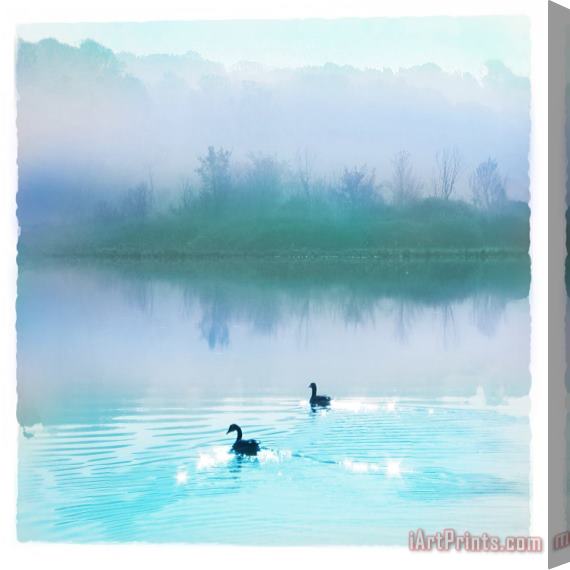 Collection 8 Calm water Stretched Canvas Print / Canvas Art