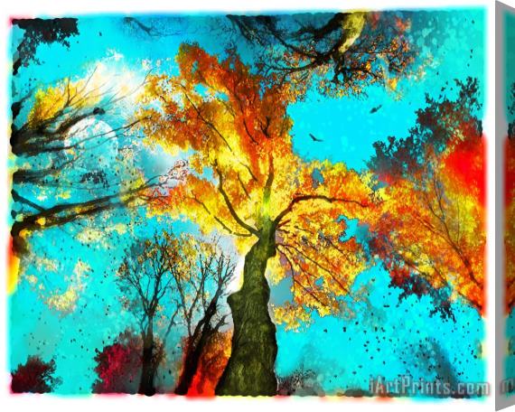 Collection 8 Evening celebration Stretched Canvas Painting / Canvas Art