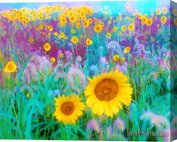 Collection 8 In the morning Stretched Canvas Print / Canvas Art