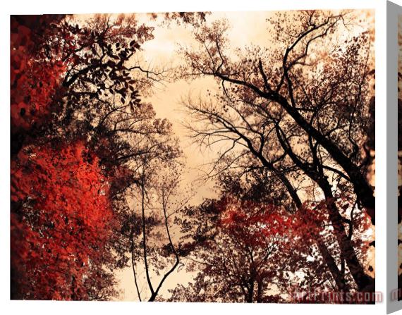 Collection 8 October afternoon Stretched Canvas Print / Canvas Art