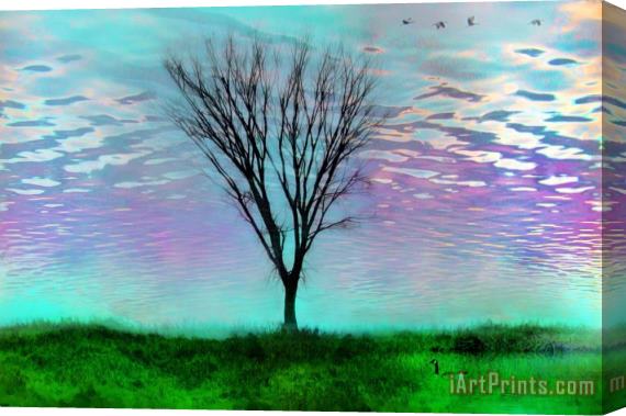 Collection 8 Resting place Stretched Canvas Print / Canvas Art
