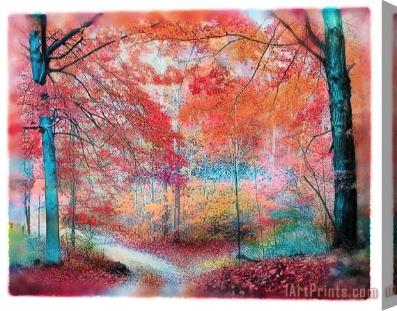 Collection 8 Soft autumn rain Stretched Canvas Print / Canvas Art