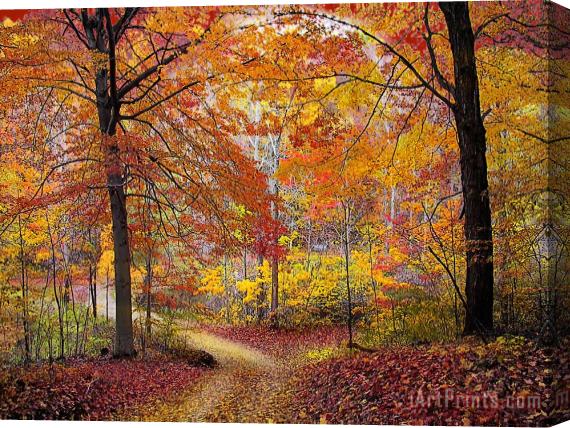 Collection 8 Soft autumn rain Stretched Canvas Painting / Canvas Art