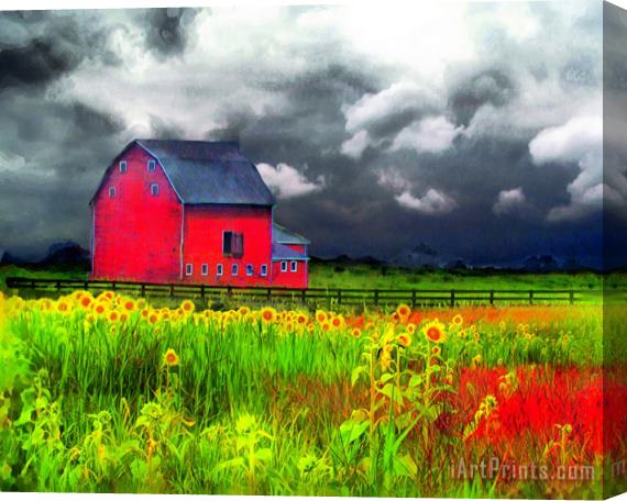 Collection 8 The red barn Stretched Canvas Painting / Canvas Art