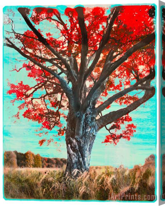 Collection 8 The red tree Stretched Canvas Print / Canvas Art