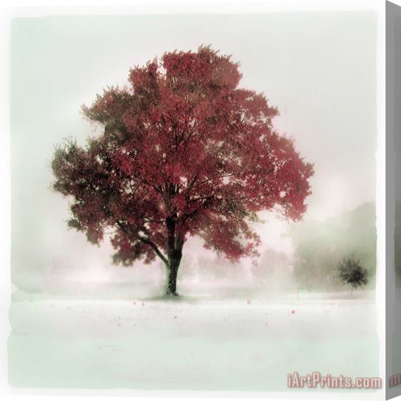 Collection 8 winter greets Autumn Stretched Canvas Painting / Canvas Art