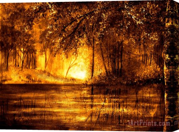 Collection 9 Evening Reflections Stretched Canvas Print / Canvas Art