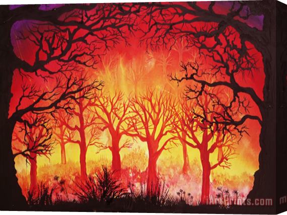 Collection 9 Fervent Forest Stretched Canvas Print / Canvas Art