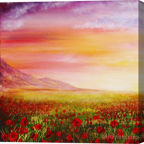 Collection 9 Poppy Meadow Stretched Canvas Print / Canvas Art