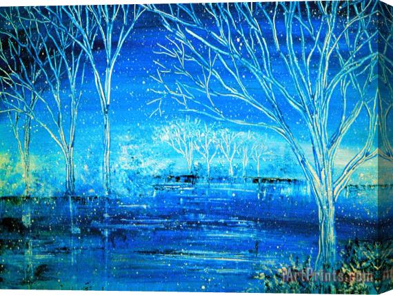 Collection 9 Winterlude Stretched Canvas Painting / Canvas Art