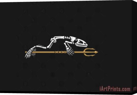 Collection Bone Frog Stretched Canvas Painting / Canvas Art