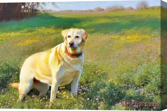 Collection Daisy 2 Stretched Canvas Painting / Canvas Art