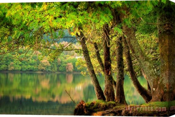Collection Early Fall on loch Ard Stretched Canvas Print / Canvas Art